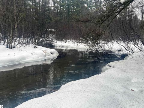 Tiny photo for 9769 Parrot Circle, Fife Lake, MI 49633 (MLS # 1941240)