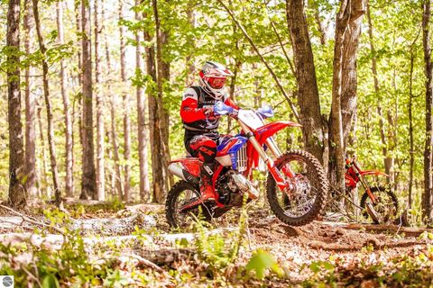 Tiny photo for 9769 Parrot Circle, Fife Lake, MI 49633 (MLS # 1941240)