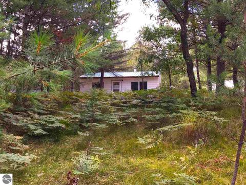 Tiny photo for 9769 Parrot Circle, Fife Lake, MI 49633 (MLS # 1941240)