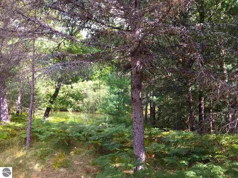 Tiny photo for 9769 Parrot Circle, Fife Lake, MI 49633 (MLS # 1941240)