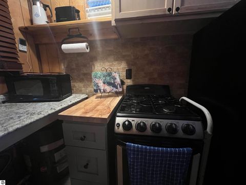 Tiny photo for 9769 Parrot Circle, Fife Lake, MI 49633 (MLS # 1941240)