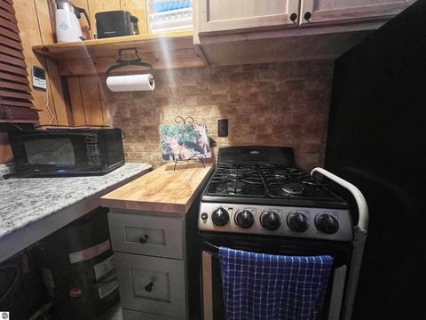 Tiny photo for 9769 Parrot Circle, Fife Lake, MI 49633 (MLS # 1941240)