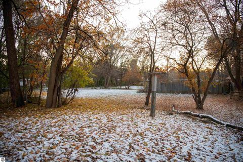 Tiny photo for 1001 N Adams Street, Mt Pleasant, MI 48858 (MLS # 1941348)