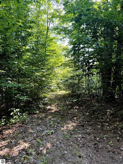 Tiny photo for 13218 NE Heller Court #26-27, Kalkaska, MI 49646 (MLS # 1937546)