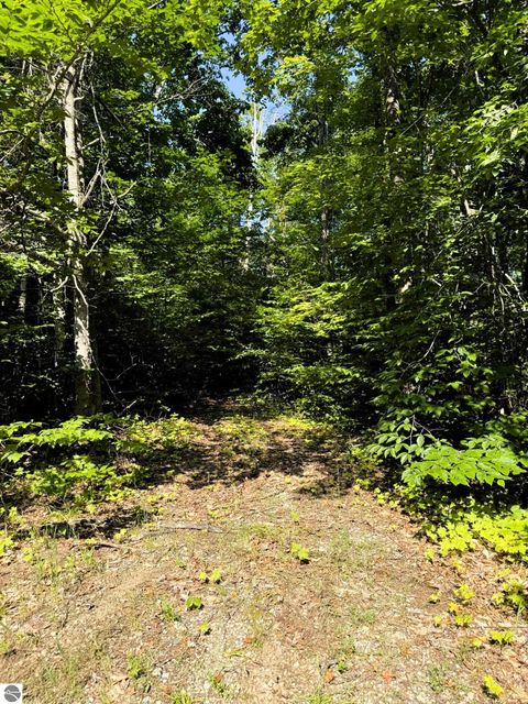 Tiny photo for 13218 NE Heller Court #26-27, Kalkaska, MI 49646 (MLS # 1937546)