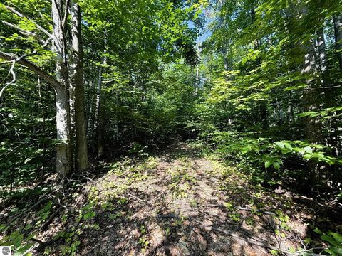 Tiny photo for 13218 NE Heller Court #26-27, Kalkaska, MI 49646 (MLS # 1937546)