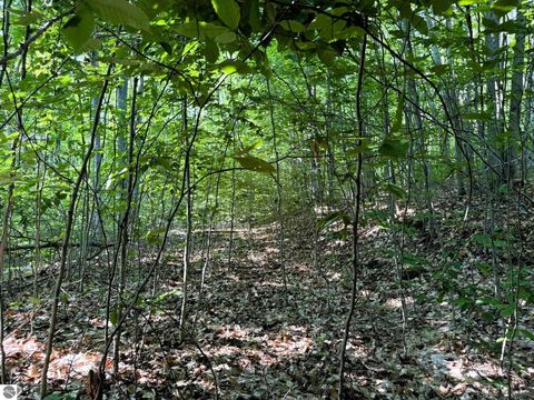Tiny photo for 13218 NE Heller Court #26-27, Kalkaska, MI 49646 (MLS # 1937546)