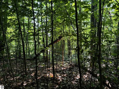 Tiny photo for 13218 NE Heller Court #26-27, Kalkaska, MI 49646 (MLS # 1937546)
