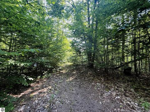 Tiny photo for 13218 NE Heller Court #26-27, Kalkaska, MI 49646 (MLS # 1937546)