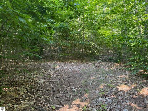 Tiny photo for 13218 NE Heller Court #26-27, Kalkaska, MI 49646 (MLS # 1937546)