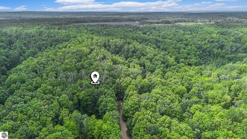Tiny photo for 13218 NE Heller Court #26-27, Kalkaska, MI 49646 (MLS # 1937546)