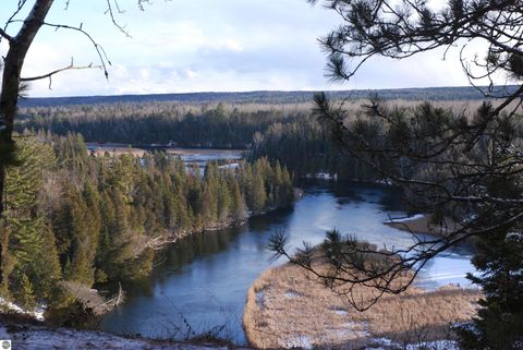 Tiny photo for 833 Newman Street, East Tawas, MI 48730 (MLS # 1941339)