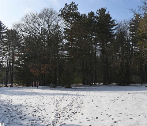 Tiny photo for 833 Newman Street, East Tawas, MI 48730 (MLS # 1941339)