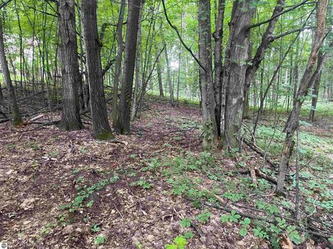 Tiny photo for 1722 S Cherry Blossom Lane, Suttons Bay, MI 49682 (MLS # 1934815)