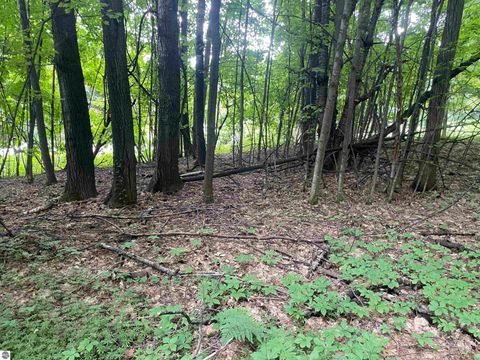 Tiny photo for 1722 S Cherry Blossom Lane, Suttons Bay, MI 49682 (MLS # 1934815)