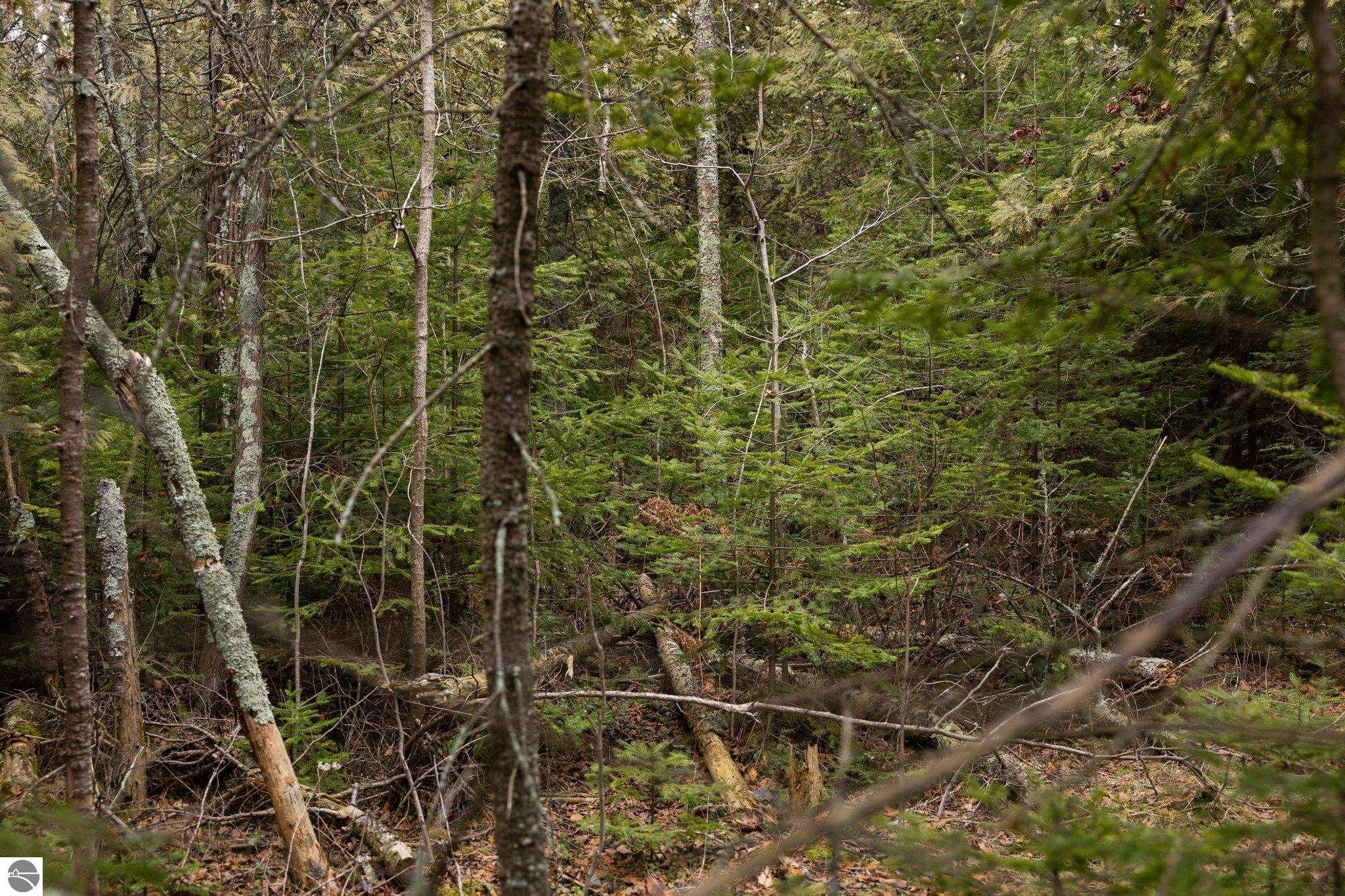 Northport, Michigan 49670, United States, ,Land,Pending,57347