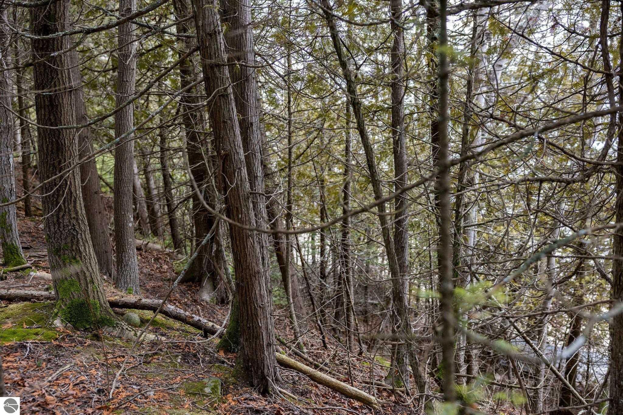 Northport, Michigan 49670, United States, ,Land,Pending,57347