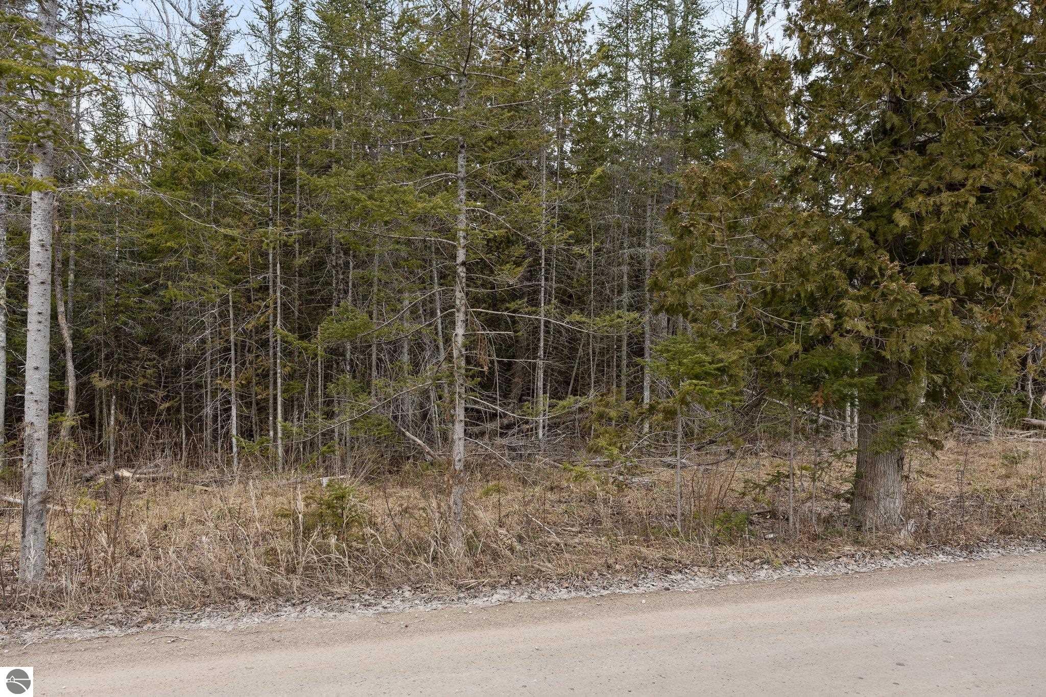 Northport, Michigan 49670, United States, ,Land,Pending,57347