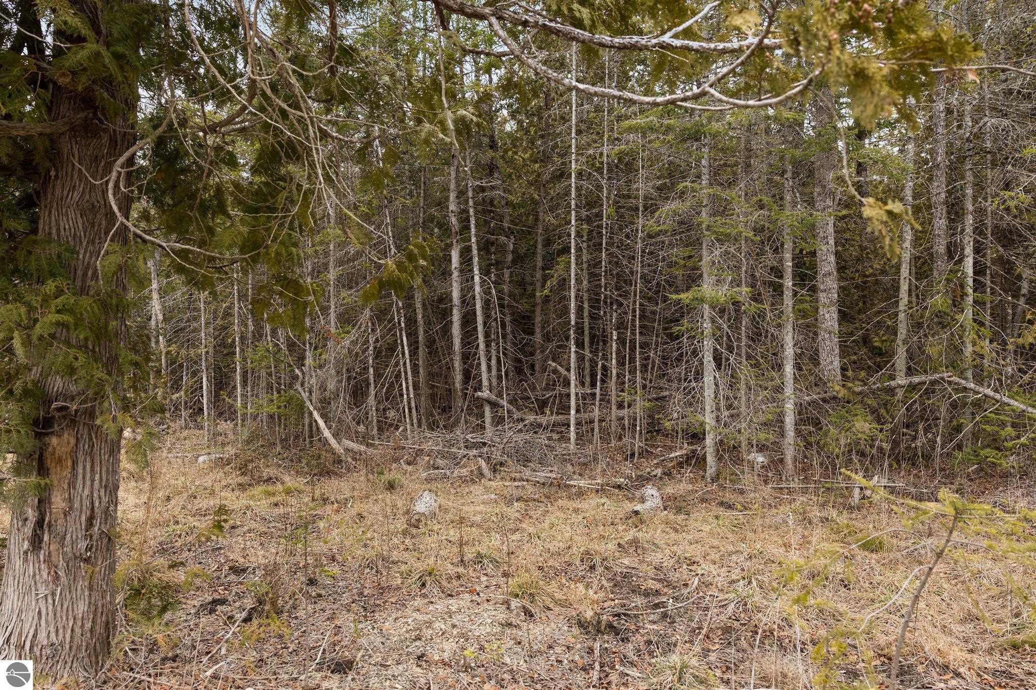 Northport, Michigan 49670, United States, ,Land,Pending,57347