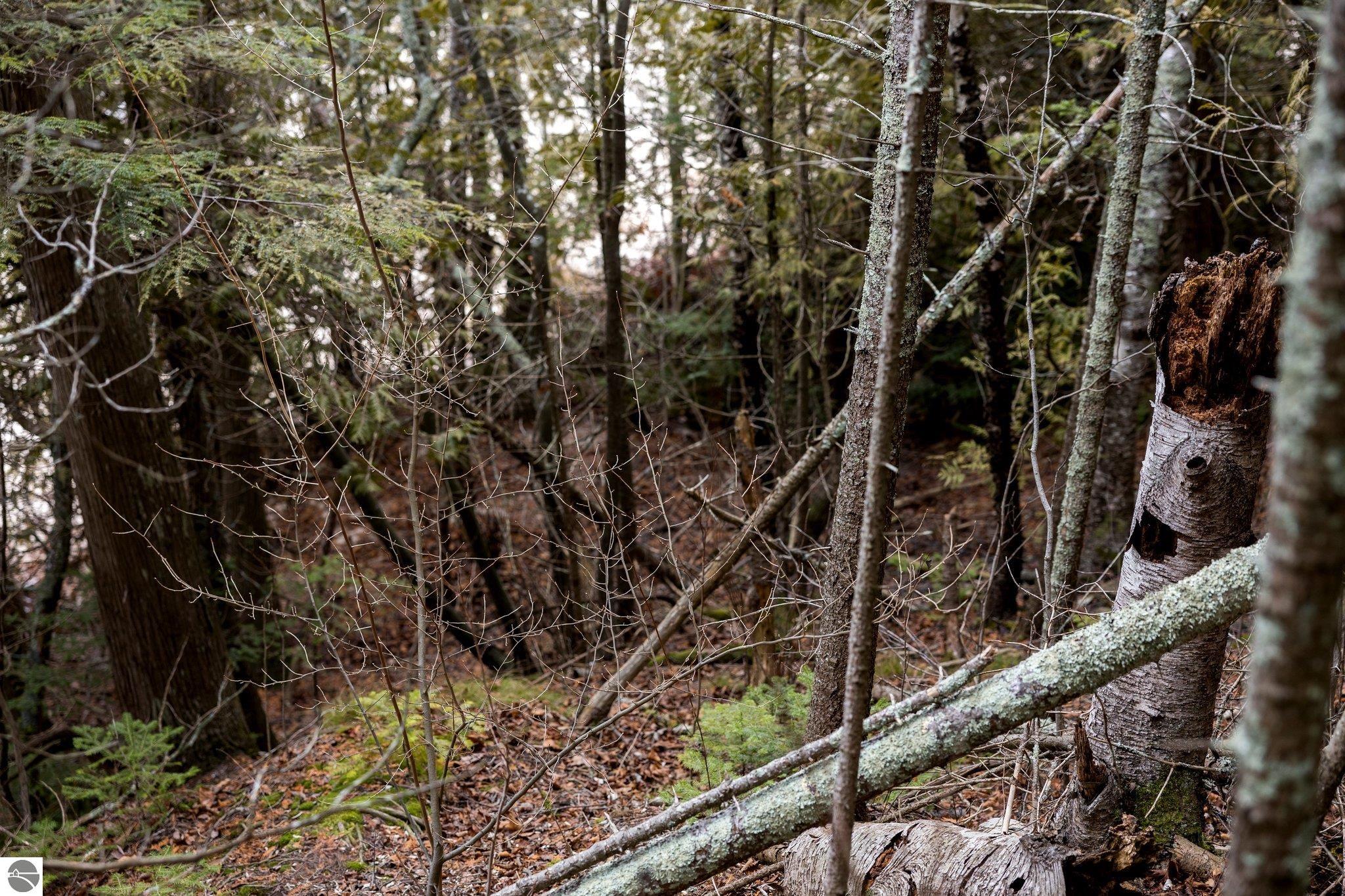 Northport, Michigan 49670, United States, ,Land,Pending,57347