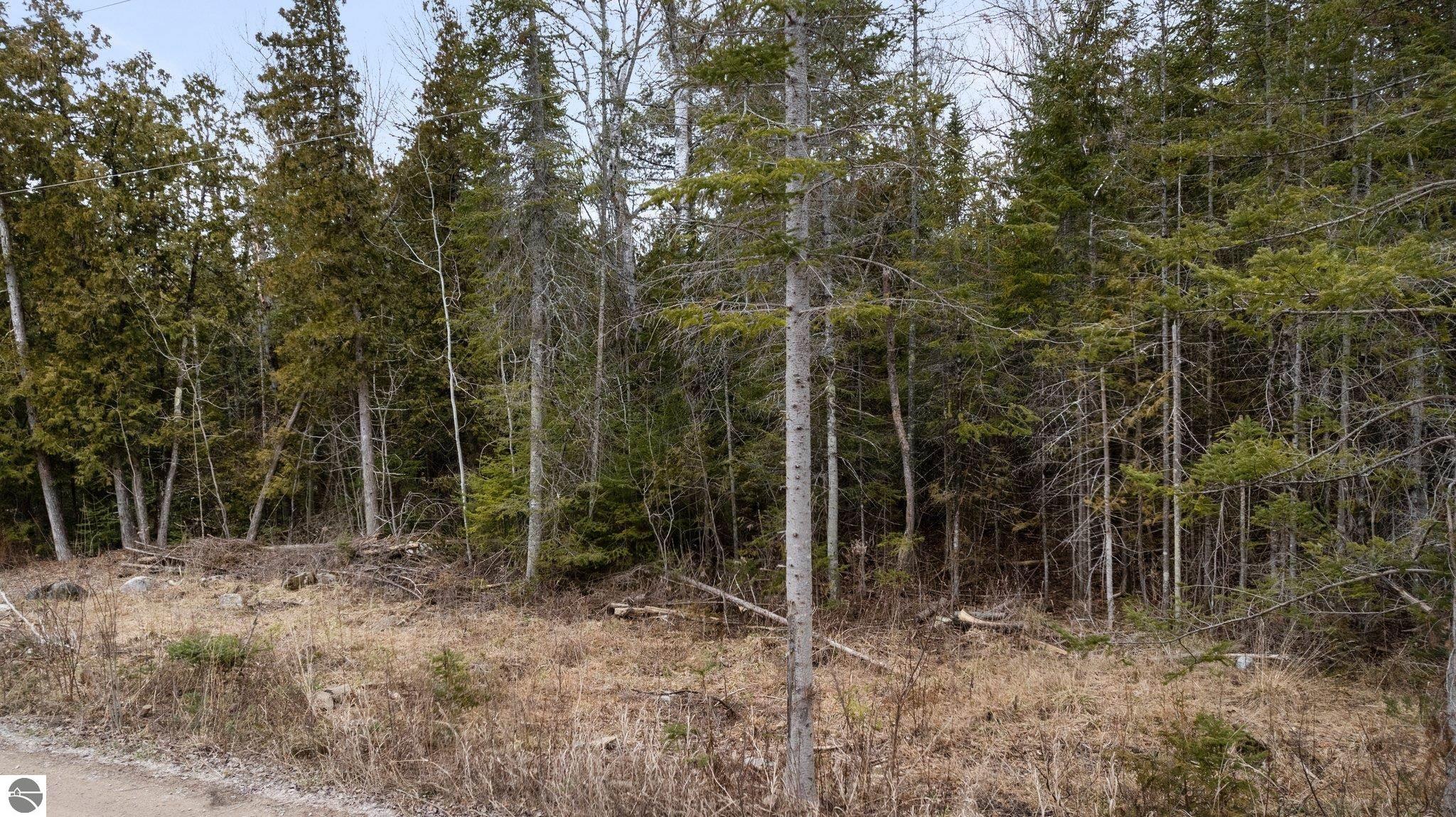 Northport, Michigan 49670, United States, ,Land,Pending,57347