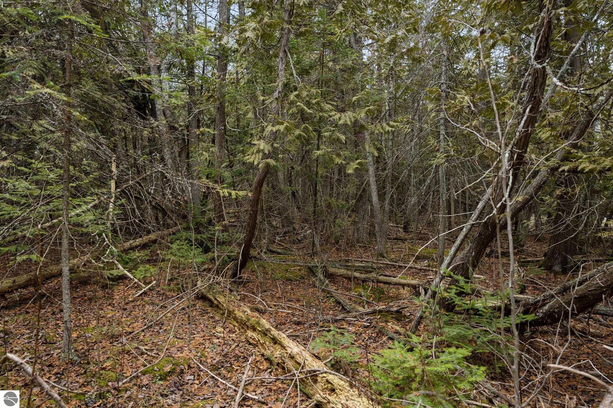 Northport, Michigan 49670, United States, ,Land,Pending,57347