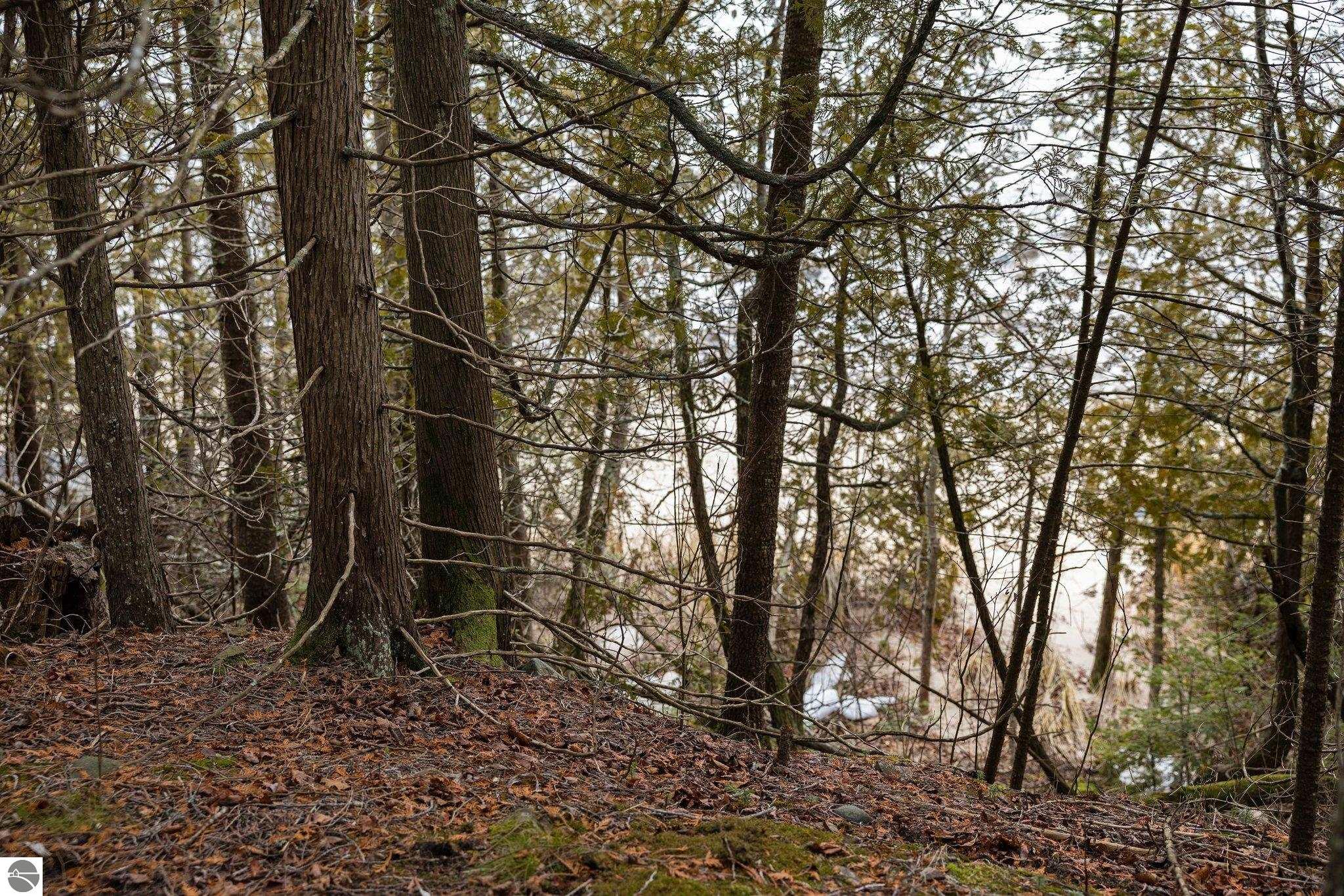 Northport, Michigan 49670, United States, ,Land,Pending,57347