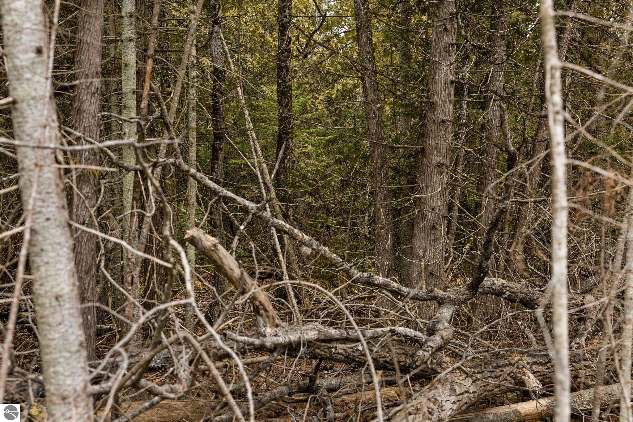 Northport, Michigan 49670, United States, ,Land,Pending,57347