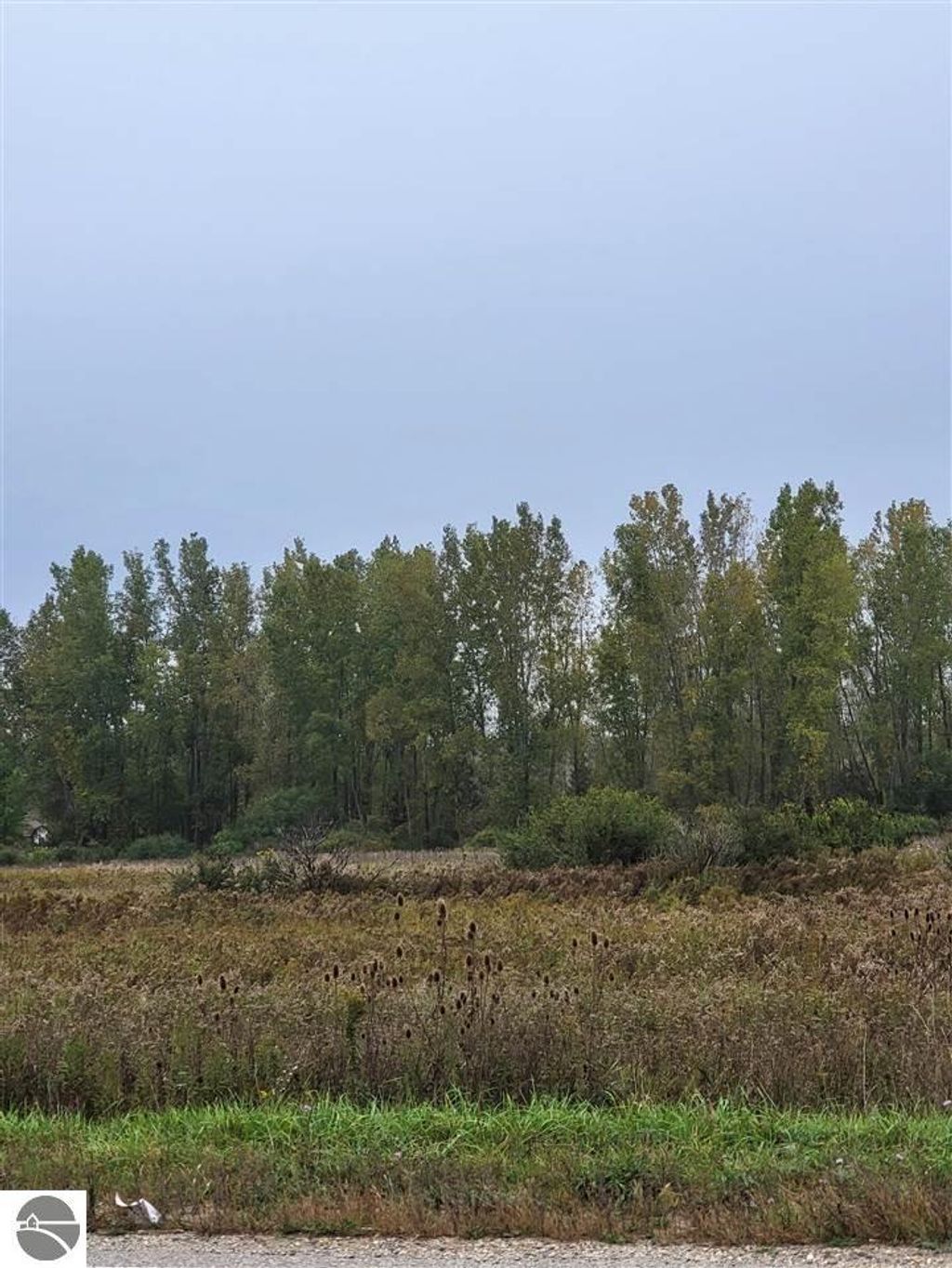 Photo of tbd W Broomfield Road, Mt Pleasant, MI 48858 (MLS # 1939787)