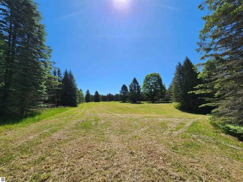 Tiny photo for 8157 NW Kellogg Road, Alden, MI 49612 (MLS # 1930160)