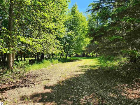 Tiny photo for 8157 NW Kellogg Road, Alden, MI 49612 (MLS # 1930160)
