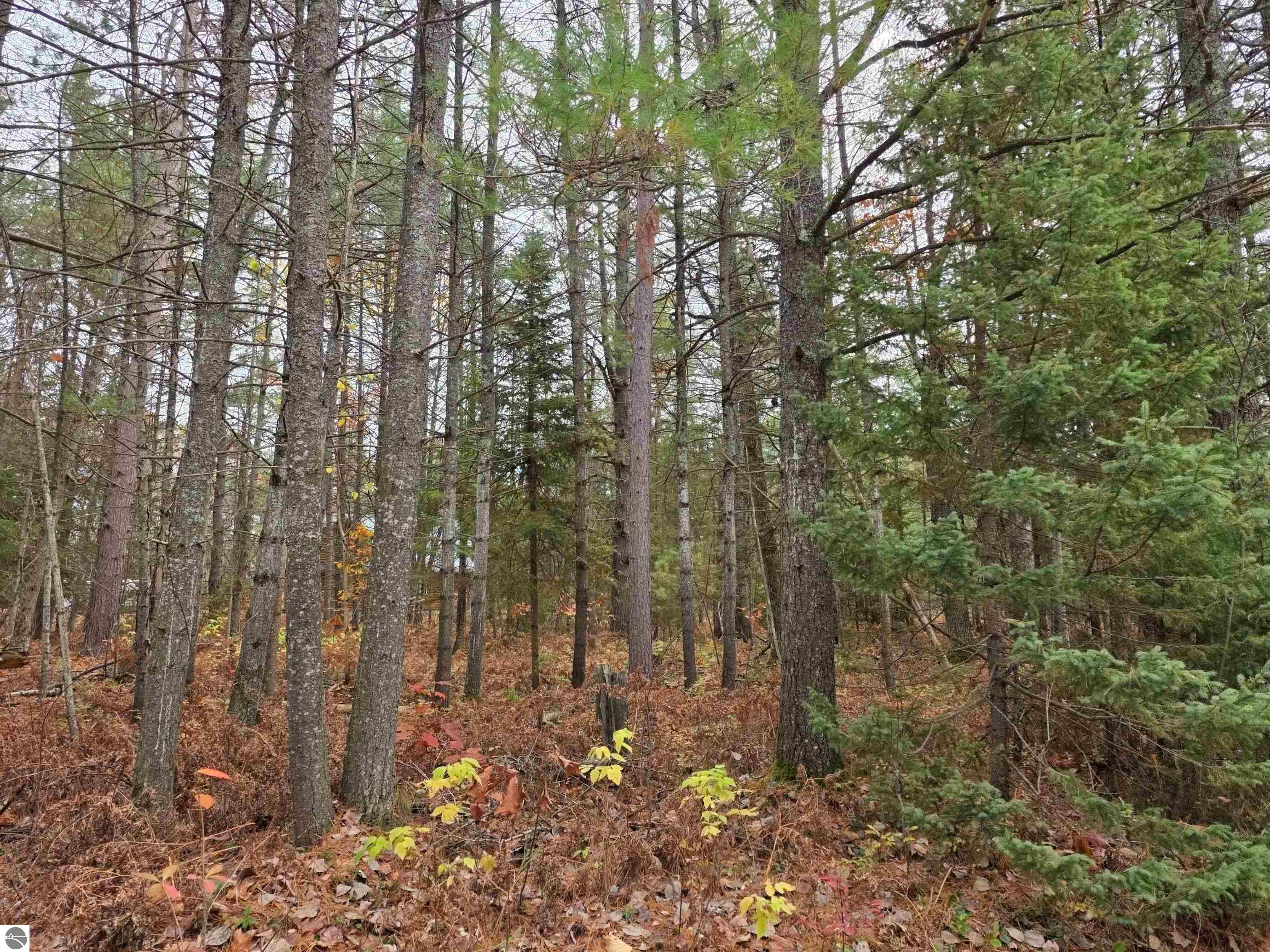 Photo 1 of 10 — Battalion Boulevard, Grayling, MI 49738