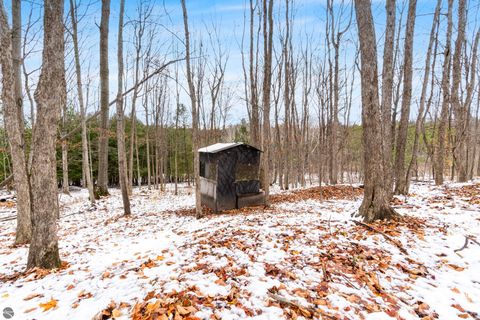 Tiny photo for 130 S Peninsula, East Jordan, MI 49727 (MLS # 1940605)