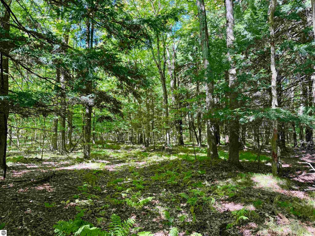 Photo of V/L 180Th Avenue, Stanwood, MI 49346 (MLS # 1938145)