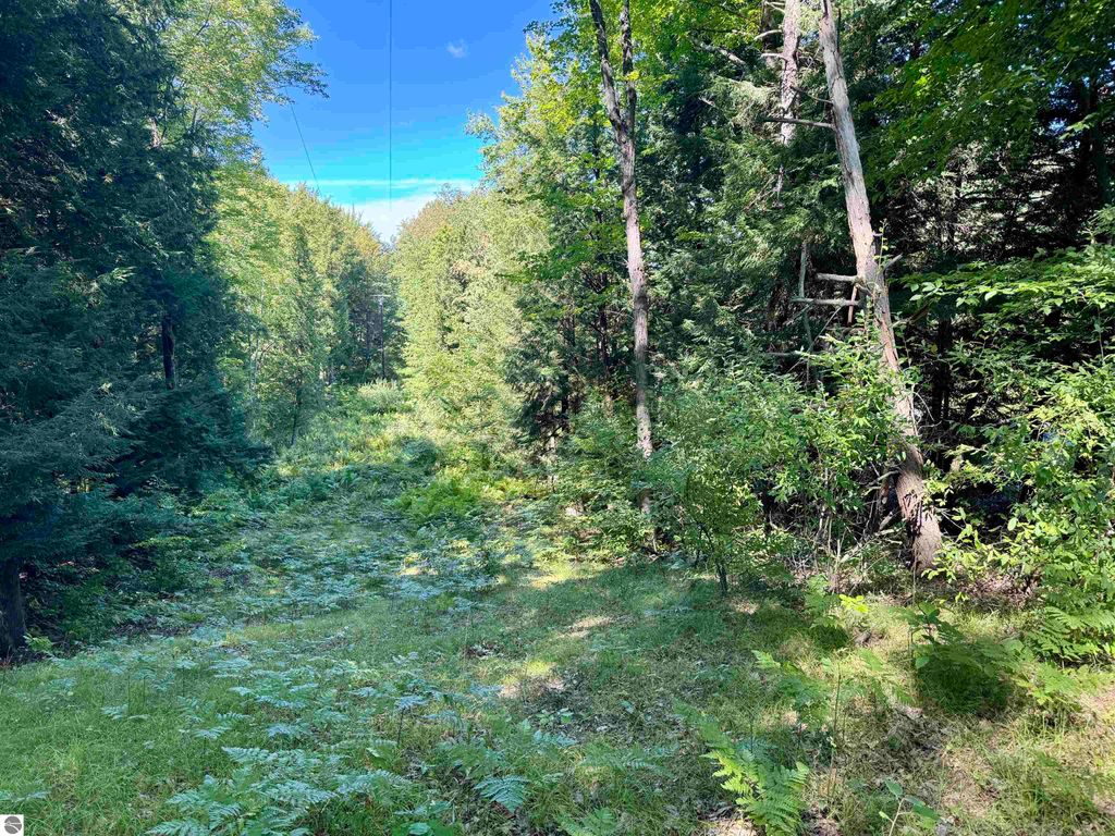 Photo of V/L 180Th Avenue, Stanwood, MI 49346 (MLS # 1938145)