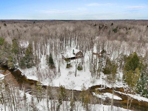 Tiny photo for 14700 Old Grade Road, Thompsonville, MI 49683 (MLS # 1941198)