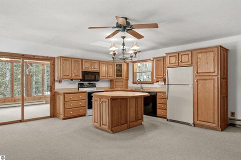 Tiny photo for 14700 Old Grade Road, Thompsonville, MI 49683 (MLS # 1941198)