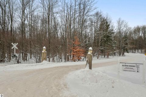Tiny photo for 14700 Old Grade Road, Thompsonville, MI 49683 (MLS # 1941198)
