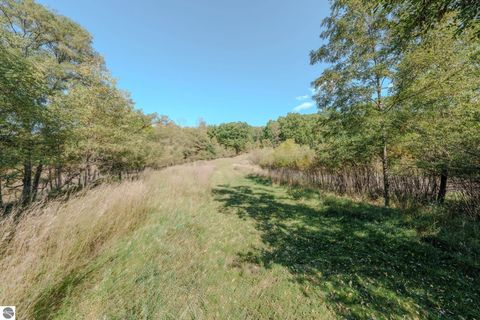 Tiny photo for 3888 Falling Leaf Trail, Traverse City, MI 49686 (MLS # 1939480)