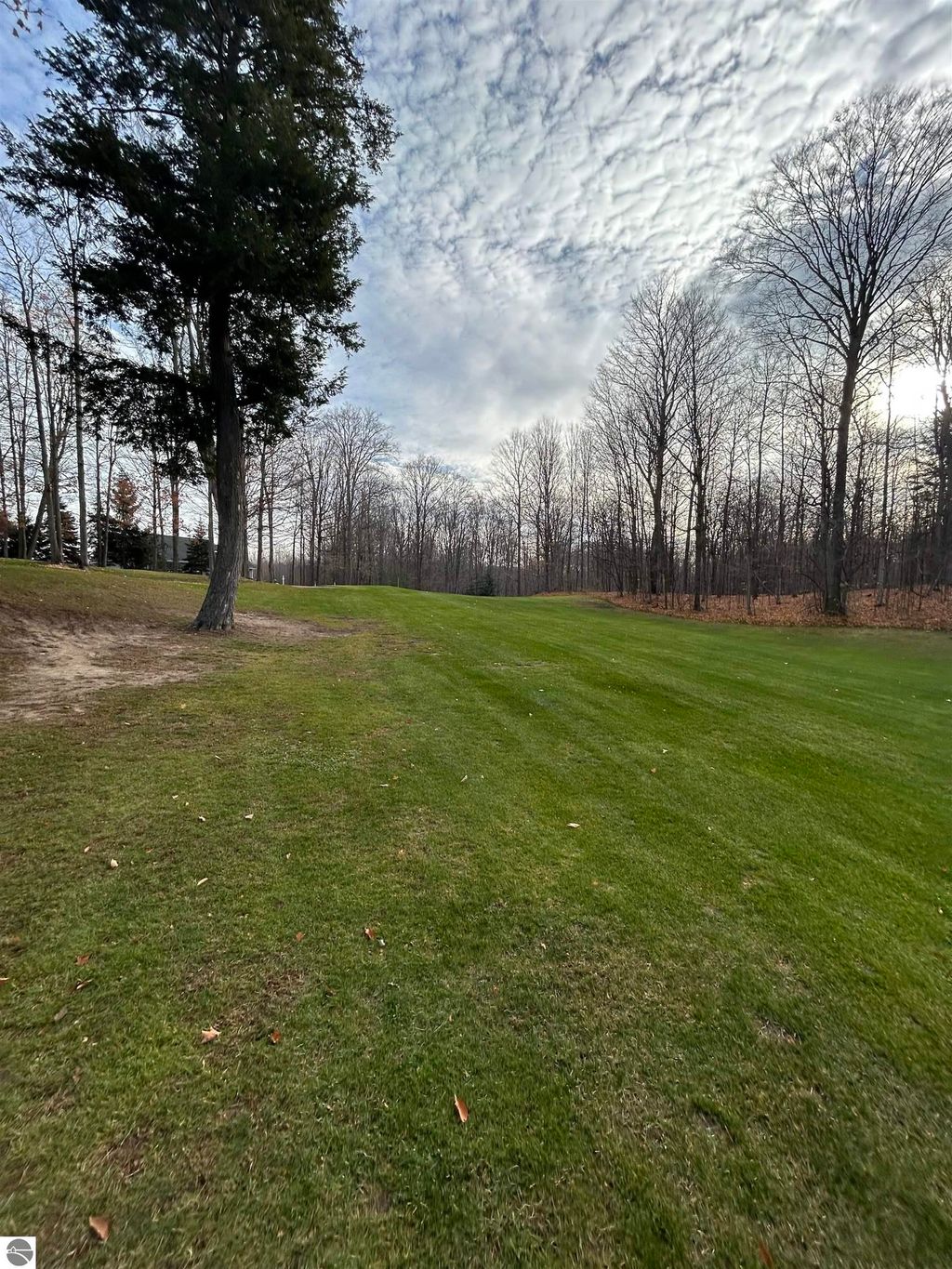 Photo of 7 White Tail Drive, Bellaire, MI 49615 (MLS # 1940553)
