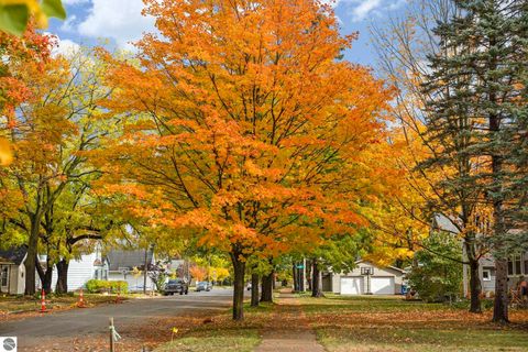 Tiny photo for 221 W Fifteenth Street, Traverse City, MI 49684 (MLS # 1939916)
