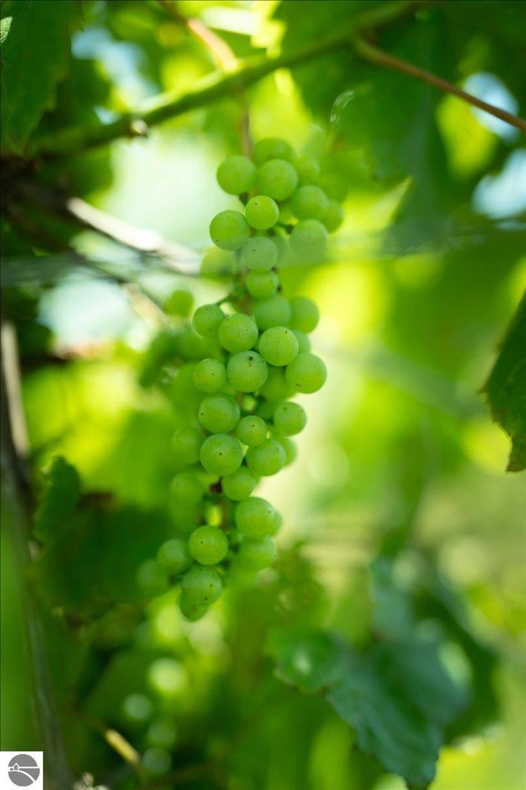 Photo of 6609 Slosser Road, Hale, MI 48739 (MLS # 1937185)