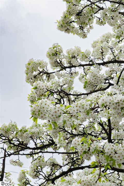 Tiny photo for 100 E Front Street #201, Traverse City, MI 49684 (MLS # 1939437)