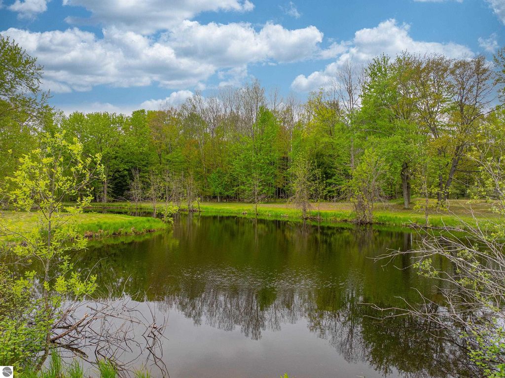 Photo of 11050 Thirteen Mile Road, Bear Lake, MI 49614 (MLS # 1936269)