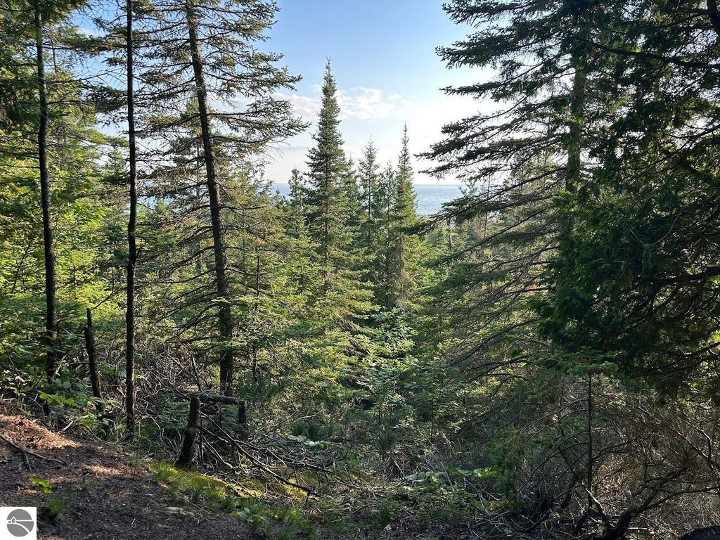 Photo of TBD Mrs Reddings Trail, Beaver Island, MI 49782 (MLS # 1930091)