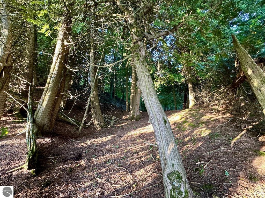 Photo of TBD Mrs Reddings Trail, Beaver Island, MI 49782 (MLS # 1930091)