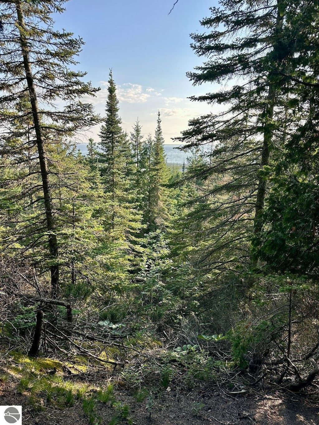Photo of TBD Mrs Reddings Trail, Beaver Island, MI 49782 (MLS # 1930091)