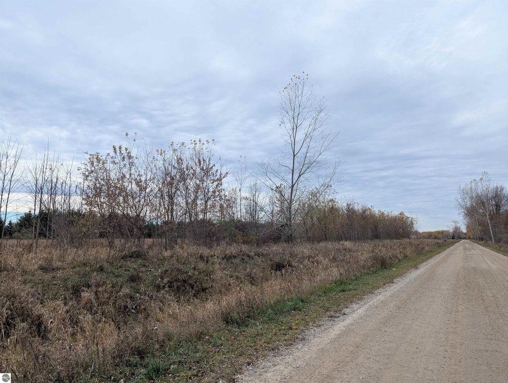 Photo of N/A Jodway Road, Au Gres, MI 48703 (MLS # 1940280)