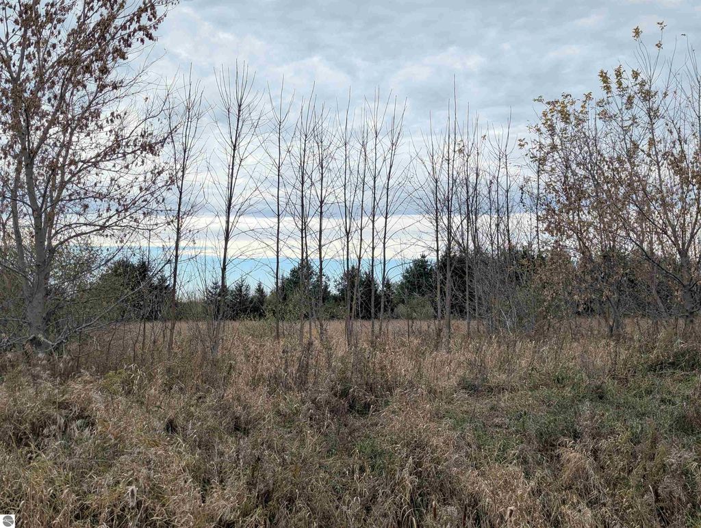 Photo of N/A Jodway Road, Au Gres, MI 48703 (MLS # 1940280)