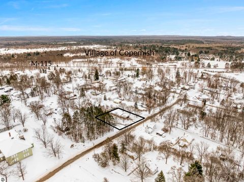 Tiny photo for 16863 3rd Street, Copemish, MI 49625 (MLS # 1941070)